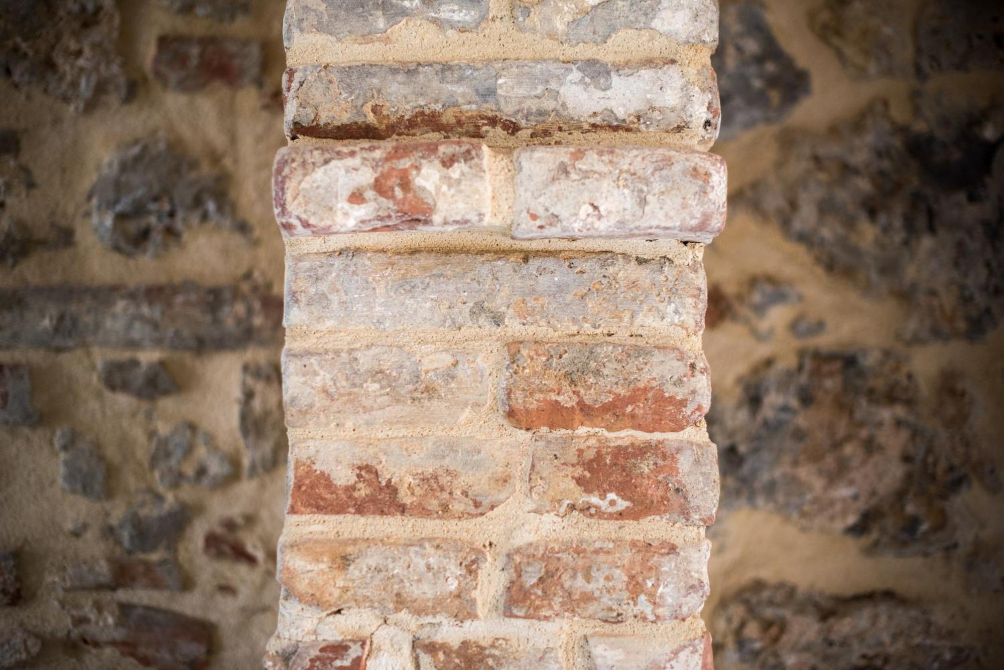Agriturismo Casalino18 Tognazza エクステリア 写真