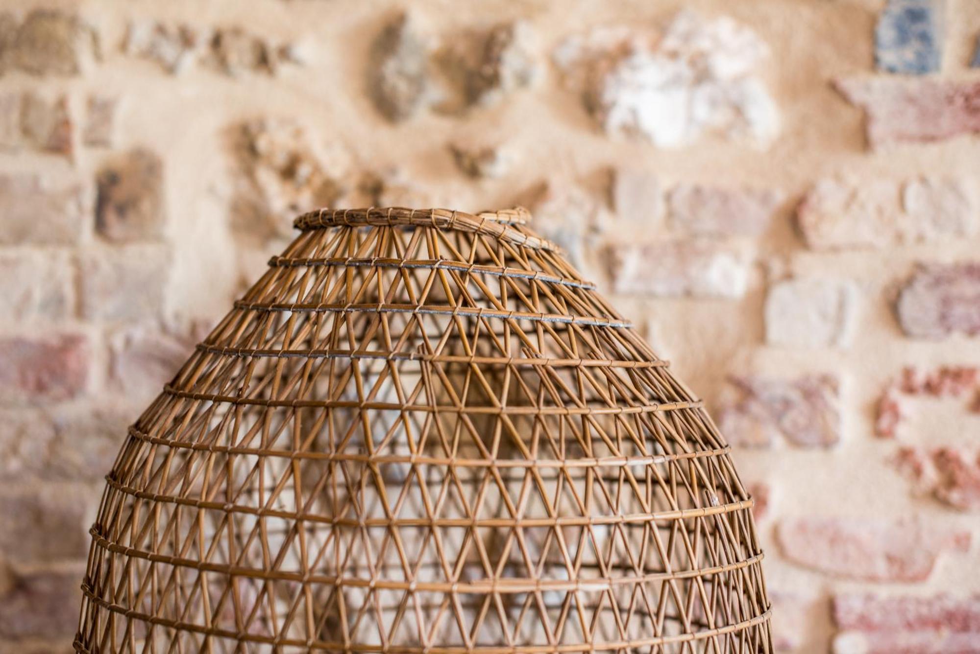Agriturismo Casalino18 Tognazza エクステリア 写真