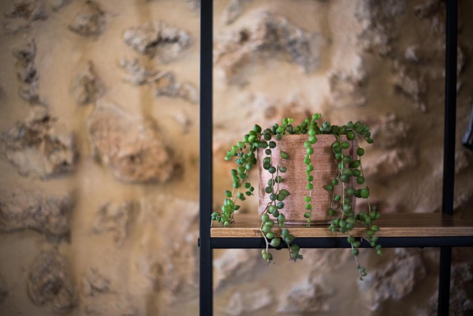 Agriturismo Casalino18 Tognazza エクステリア 写真