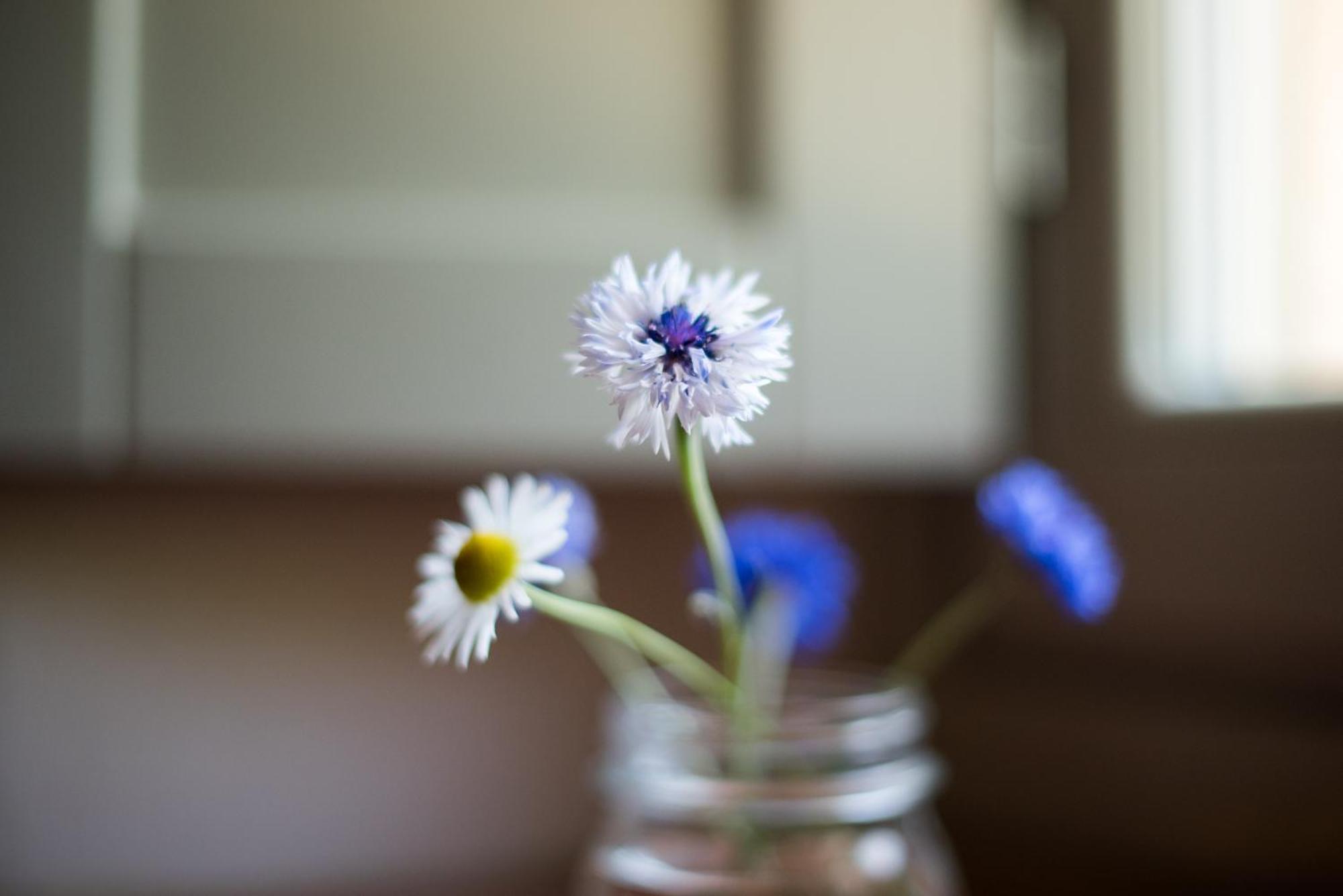 Agriturismo Casalino18 Tognazza エクステリア 写真